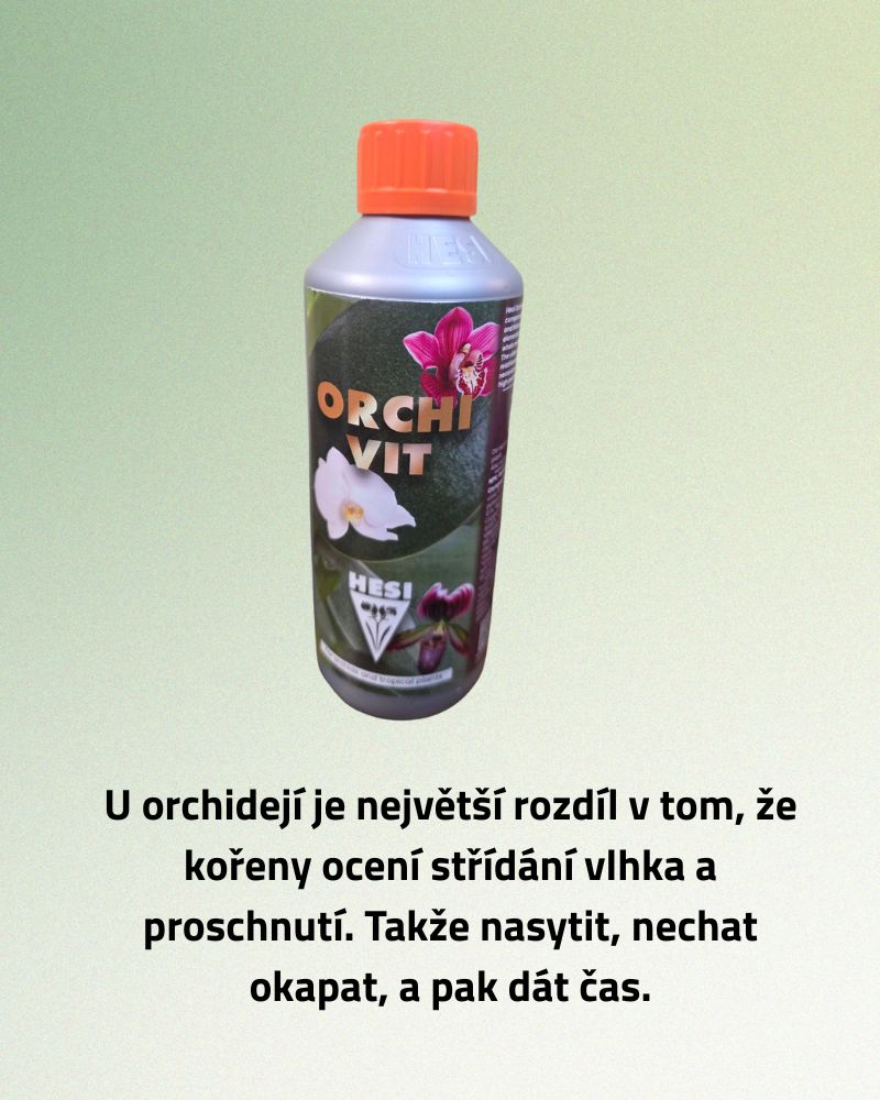 Hesi OrchiVit